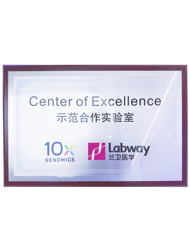 03 ݿι10Xģʵ.png